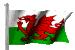 wavy Welsh flag